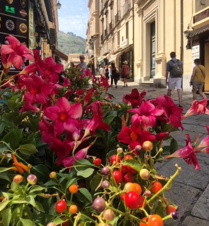 Casetta Pinetamare Tropea Kültér fotó